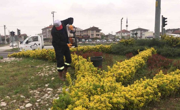 Düzce rengarenk bir görünüme kavuştu