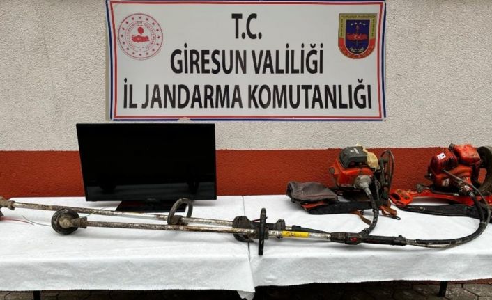 Giresun’da hırsızlık vakaları