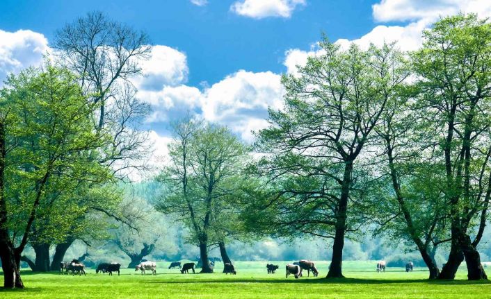 Gölyaka Kültür Park, ziyaretçilerini bekliyor