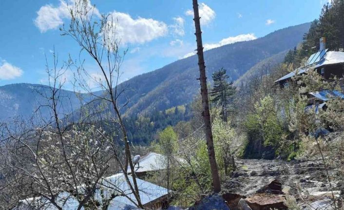 Heyelanda kayaların kapattığı köy yolu ulaşıma açıldı