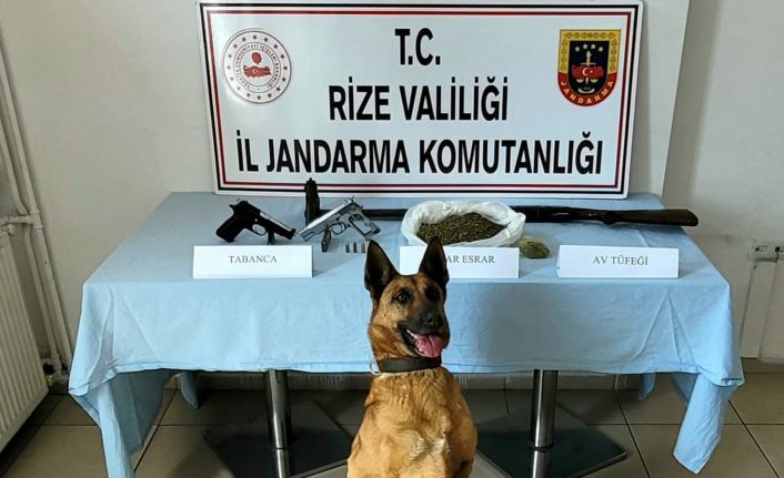 Jandarmadan uyuşturucu operasyonu: 1 gözaltı