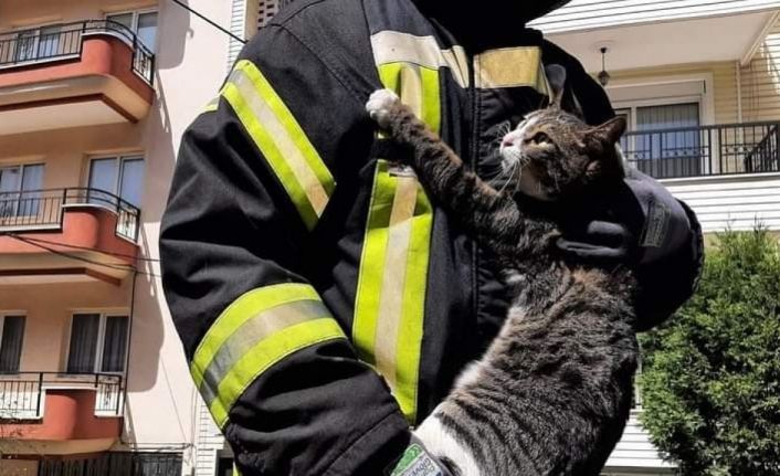 Kurtarılan kedi itfaiye erinin kucağından inmedi