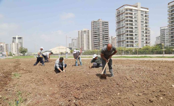 Mezitli’de ihtiyaç sahipleri için sebze bahçesi