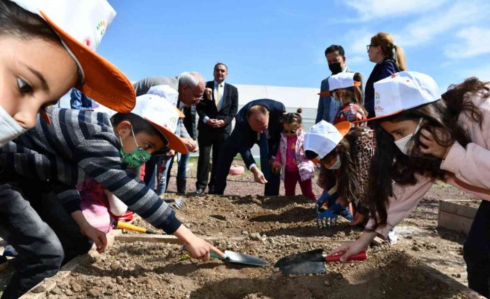 Minik eller tohumları toprakla buluşturdu