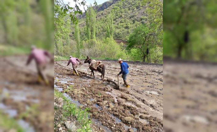 Sınırda çeltik tarlaları hazırlanmaya başlardı