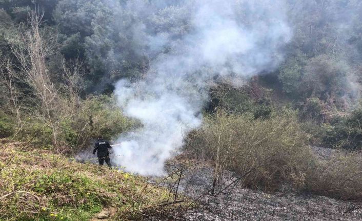 Sinop’ta çıkan yangının büyümesini polis önledi