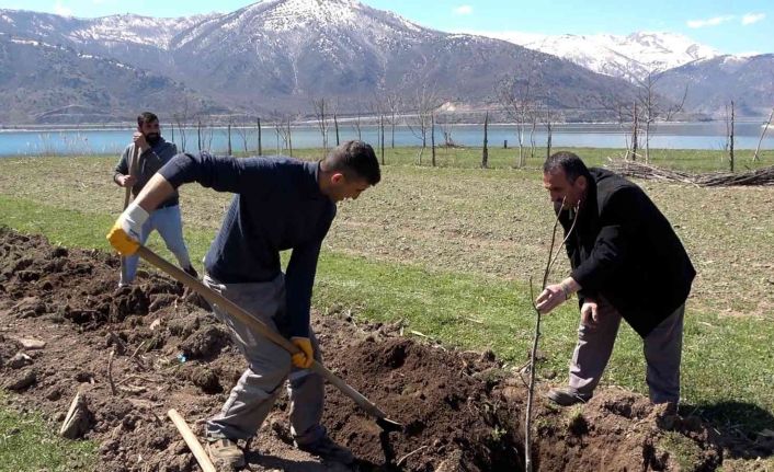 Tatvan’da meyve fidanları toprakla buluştu