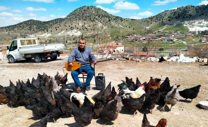 Tavuklarına her gün konser veriyor