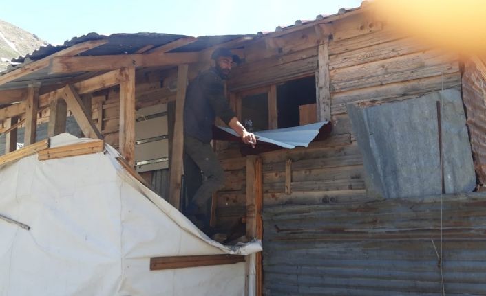 Aç kalan ayılar yayla evlerini talan etti