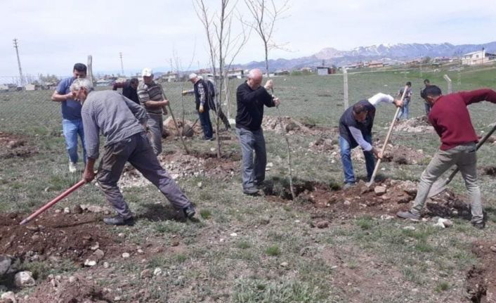 Aşkale’de 3 bin fidan toprakla buluştu