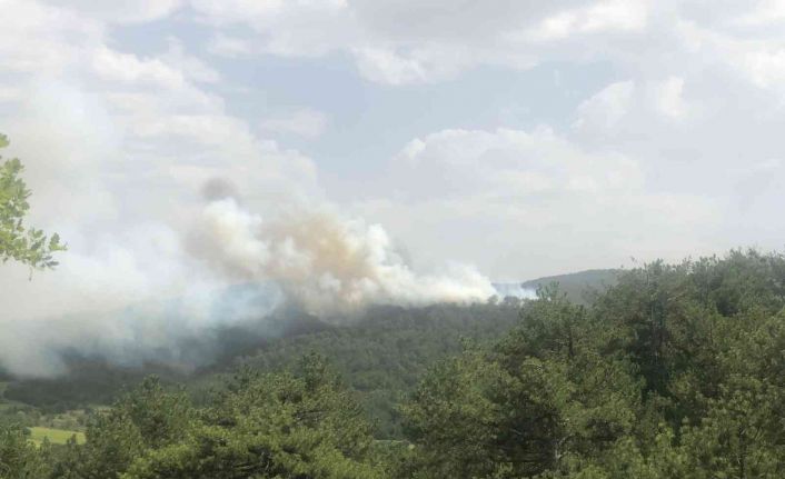 Bolu’da orman yangını