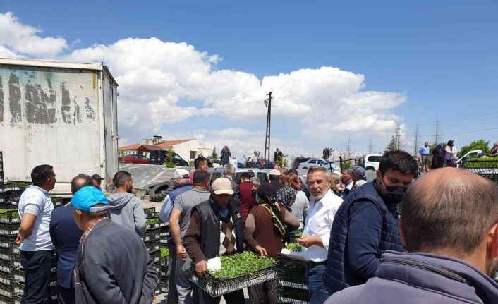 Evren’de çiftçiye fidan desteği