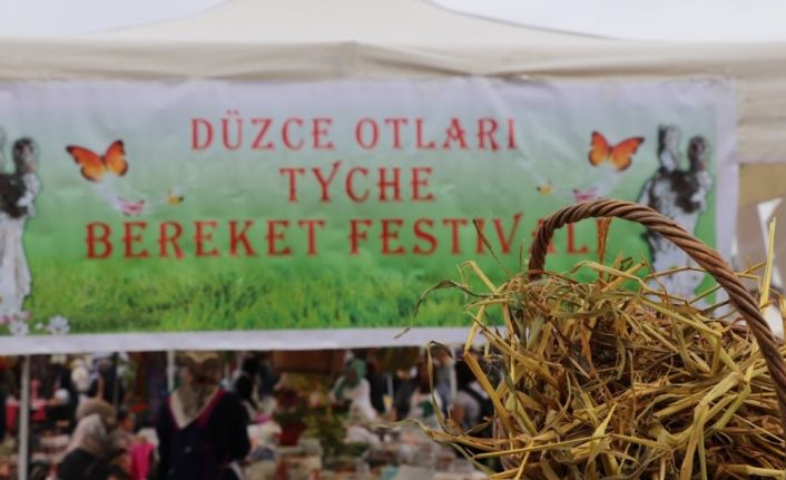 Geleneksel Düzce Otları Bereket festivali başlıyor