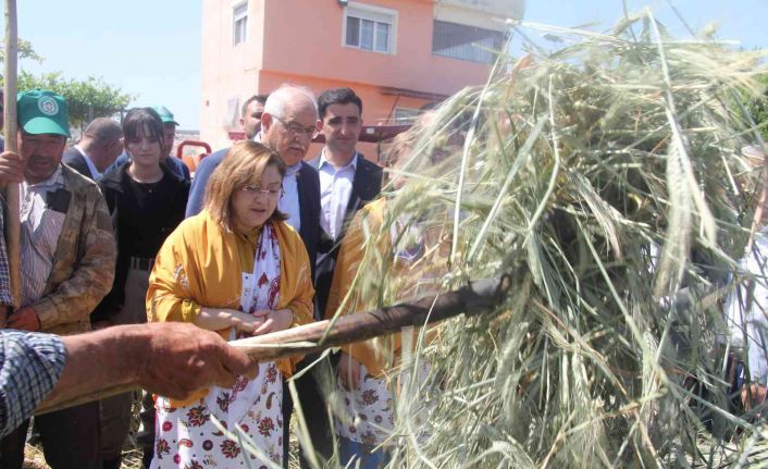 Geleneksel yöntemlerle yapılan firik ütme başladı