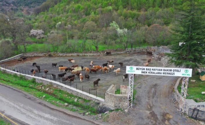 Mesudiye’ye Hayvan Organize İhtisas Bölgesi müjdesi