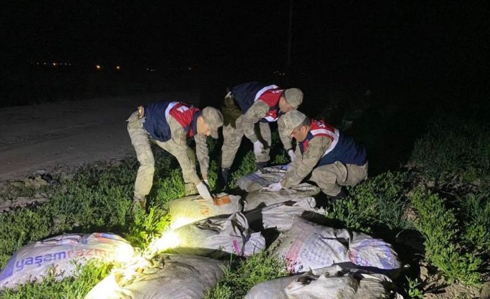 Muradiye’de kaçak avlanmış 6,5 ton balık ele geçirildi