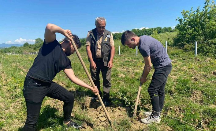 Üniversite öğrencileri fidanları toprakla buluşturdu