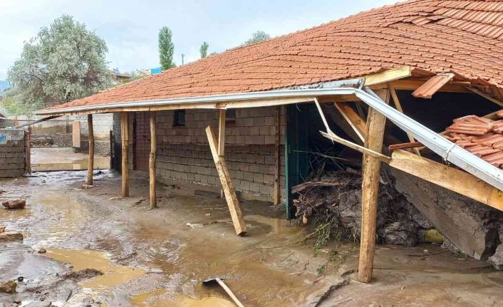 Yağış nedeniyle mandıralar çöktü, hayvanlar telef oldu