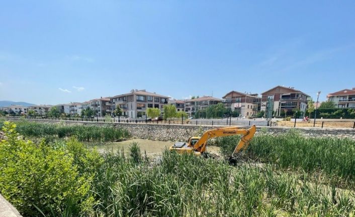 Yalova Belediyesi’nden Safran Deresi’nde temizlik çalışması