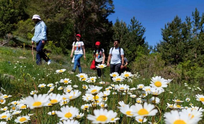 Yüzlerce yıldır kullanılan patikaları canlandırıyorlar