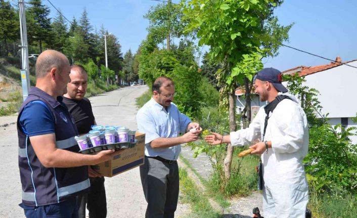 Daha temiz ve yeşil bir Emet için belediye ekipleri sahada