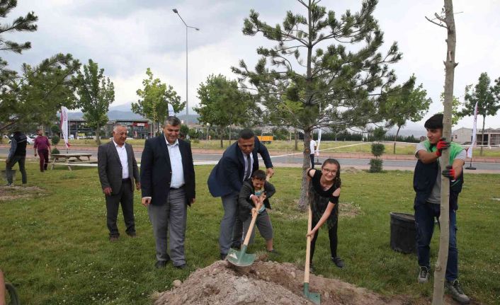 Engelsiz Yaşam Merkezi’nde 200 fidan toprakla buluşturuldu