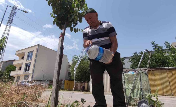 Sokak sokak gezip her yere meyve fidanı dikiyor