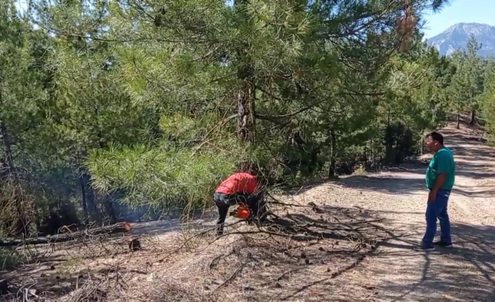 Adana’daki orman yangını