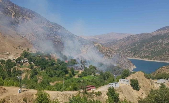 Aşırı sıcaklar yangına sebep oluyor