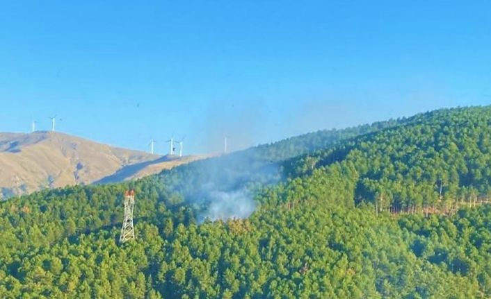 Aynı bölgede çıkan 2. yangın büyümeden söndürüldü