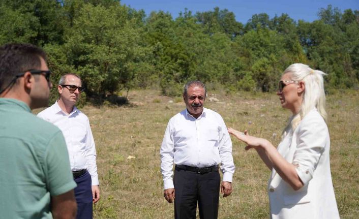 Bilecik’te belediyeye ait tarım arazilerinde ata tohumları ekilip biçilecek