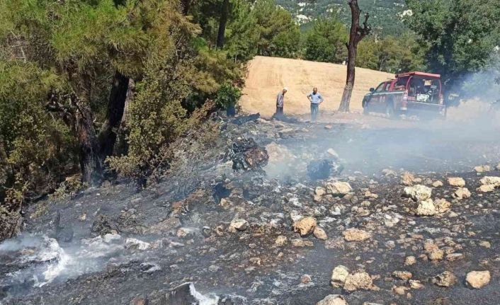 Çameli’nde çıkan orman yangını büyümeden söndürüldü