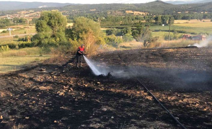 Çanakkale’de anız yangını