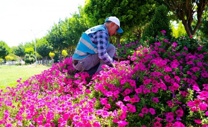 Eyyübiye parklarında peyzaj düzenlemesi