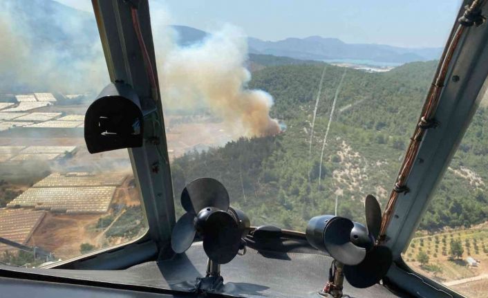 İzmir’de sera yangını