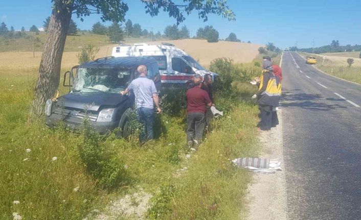 Kontrolden çıkan hafif ticari araç ağaca çarptı: 1 yaralı