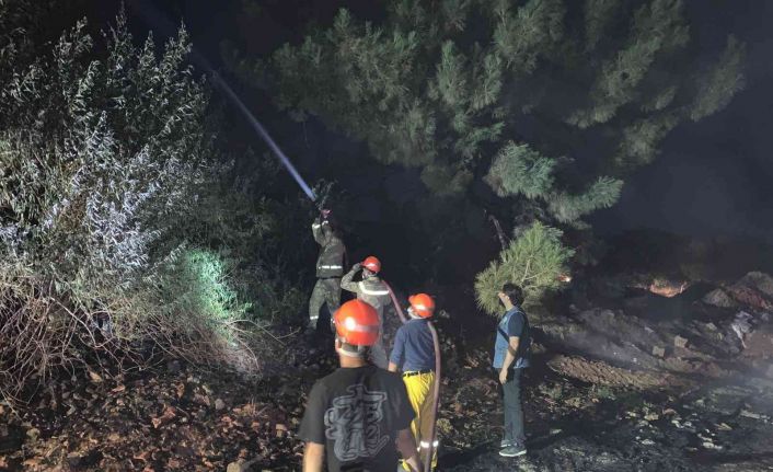 Kuru otların tutuşmasıyla başlayan yangın ormana ulaşamadan söndürüldü