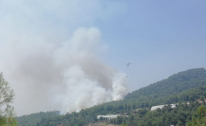 Mersin’deki orman yangını kontrol altına alındı