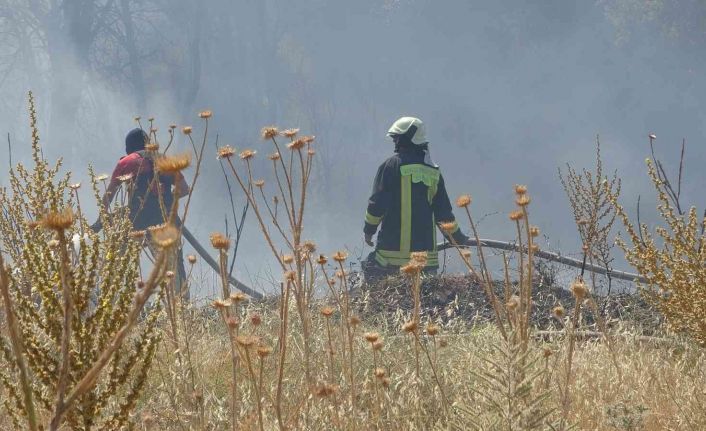 Örtü yangınında arı kovanları ve ağaçlar küle döndü