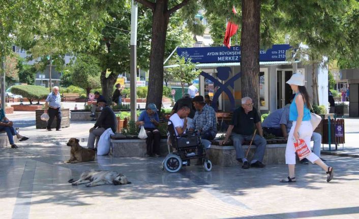 Sıcağı gören parklara koştu