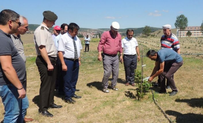 Tavşanlı’da şehitleri anma töreni