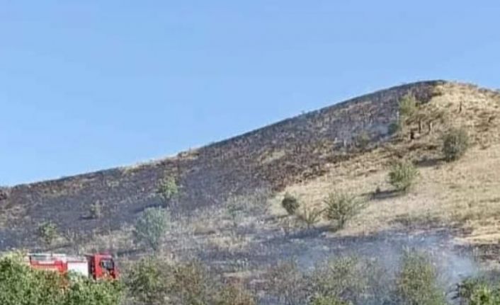 Tunceli’deki örtü yangını söndürüldü