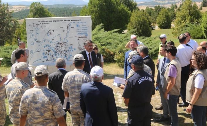 Vali Ali Çelik, Altıntaş ve Dumlupınar ilçelerinde