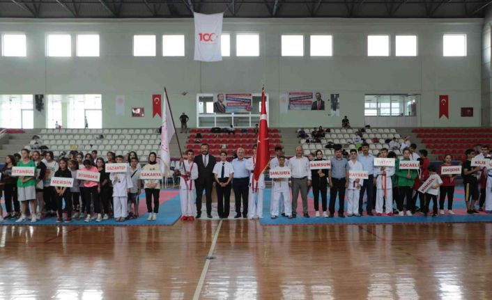 Anadolu Yıldızları Ligi karate finalleri İskenderun’da başladı