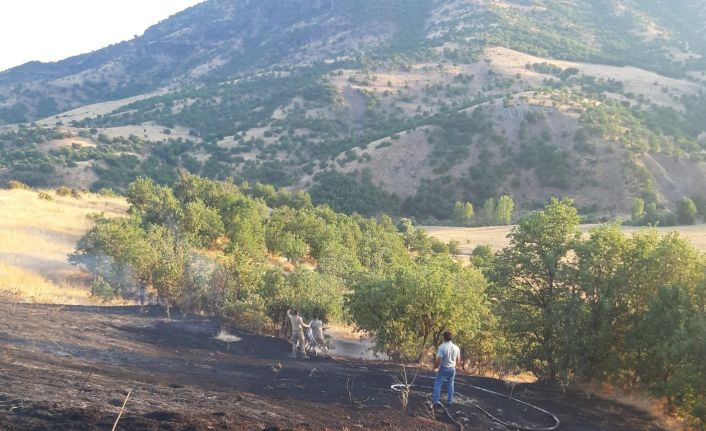 Bingöl’de otluk alanda çıkan yangın büyümeden söndürüldü