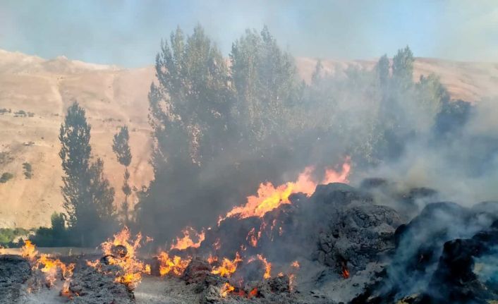 Çatak’ta tonlarca saman ve ot yandı