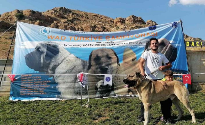 "Dozer" isimli köpeğiyle katıldığı yarışmadan birincilikle döndü