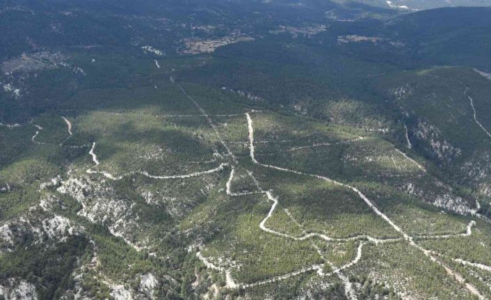 Gölhisar Orman İşletme Sahası havadan denetlendi