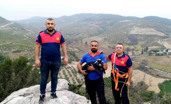 Kayalıklarda mahsur kalan keçi yavrusu kurtarıldı