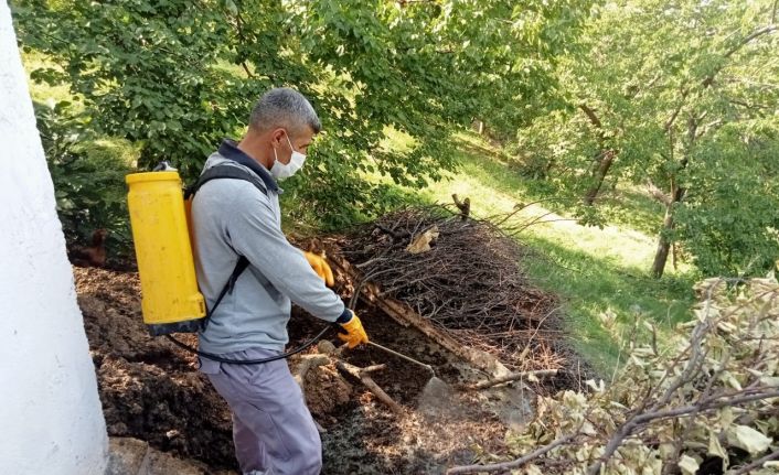 Malatya’da ilaçlama çalışmaları sürüyor